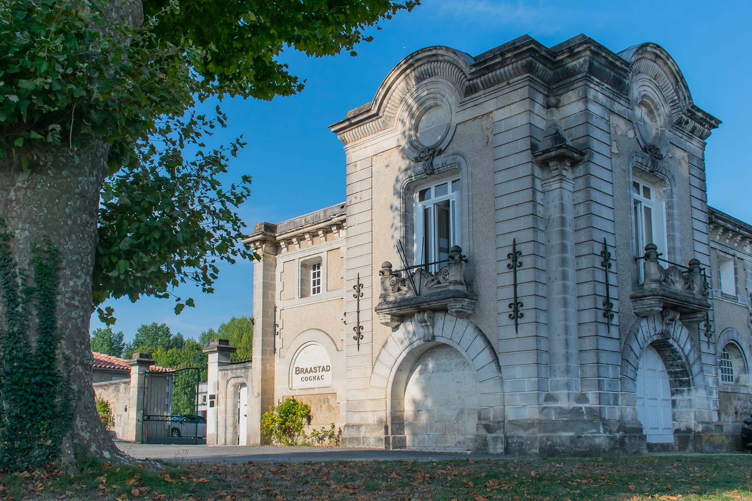 Refonte du site internet de Braastad Cognac