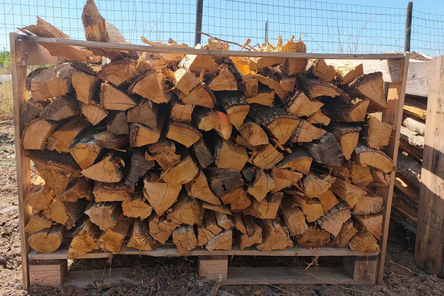 Création d’une landing page pour lancer une activité locale : le projet PLB Bois de Chauffage